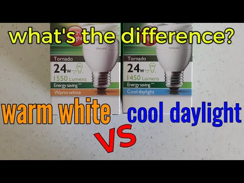 light bulbs - the different types of light - WARM WHITE vs COOL DAYLIGHT energy saver