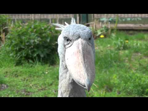 What you see is real (or is it)