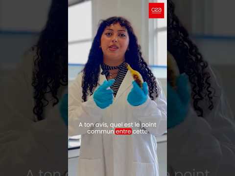 🧬 Cette expérience permet de voir l'ADN d'une banane ! 🍌