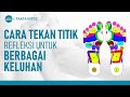 Cara Pijat Titik Refleksi Di Kaki Untuk Berbagai Penyakit Hidup Sehat TvOne