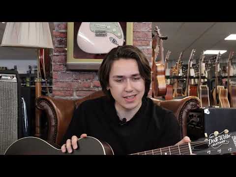 Gibson L-00 Century 12-Fret image 12