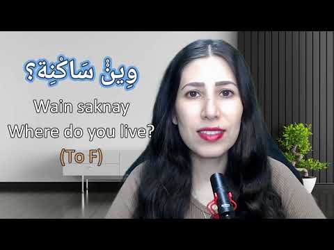 Lesson 17 – Levantine Arabic: Mastering Question Words Like “How” and “Why” with Real-Life Examples.