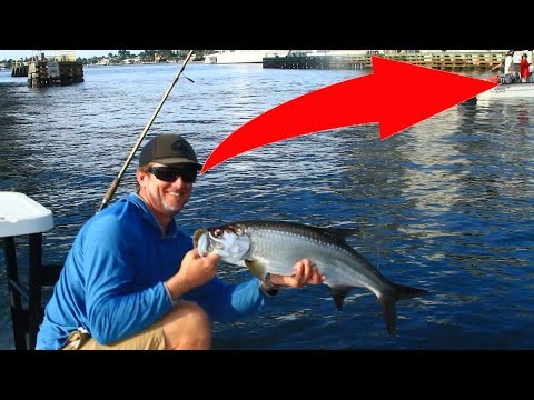 Reel Guy Catches Tarpon Right In Jeff's Face!