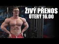POHODOVÝ POKEC S DIVÁKY ŽIVĚ (QnA) | Záznam