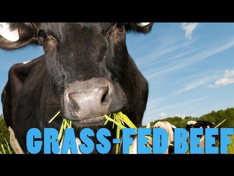 10 Ways Grass-Fed Beef Is Healthier Than Grain-Fed Beef