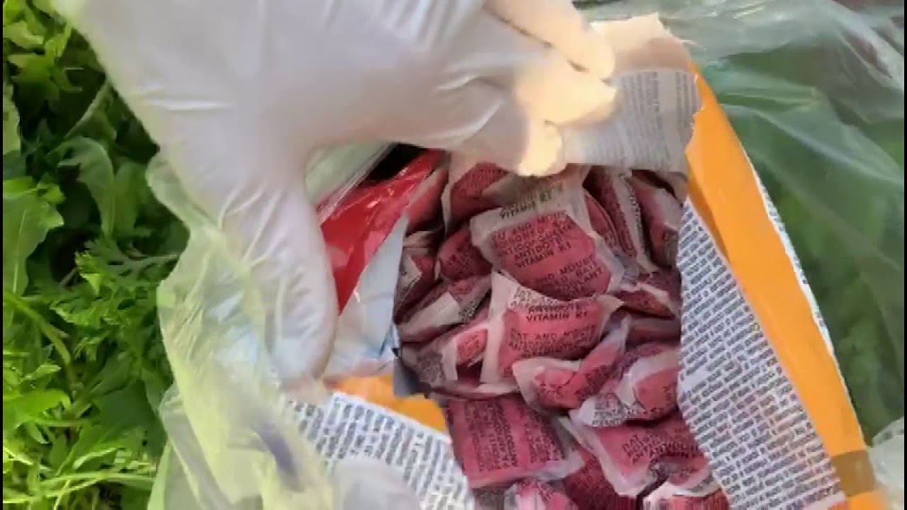 Watch Now SERV VELENO TOPI SERV VELENO TOPI