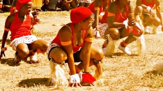 INDLAMU Kwazulu Natal Best Zulu Dance (Must Watch)