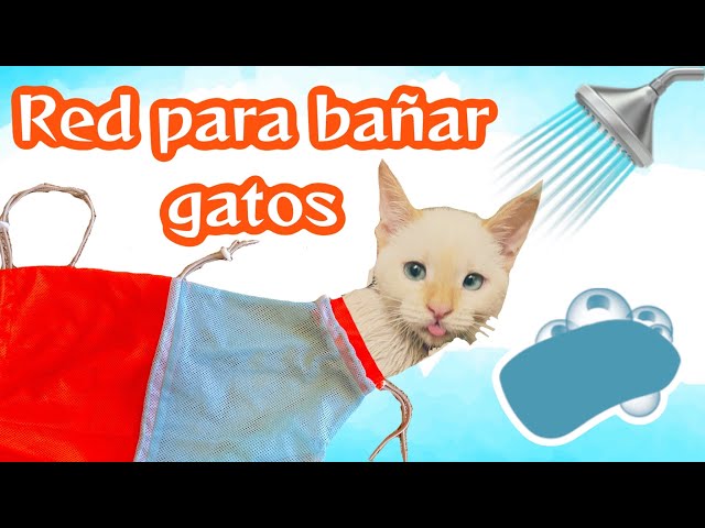 Vídeo relacionado con Tktouci Bolsón para Aseo Felino,5 Piezas Red de Baño para Gato con Cortauñas - Accesorios de Baño para Cuidado de Garras Ajustable para Lavado en Casa de Razas