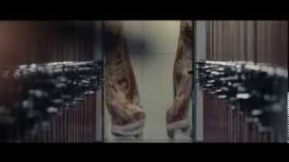 Benvenuto Presidente 2013 - Pensiero - Pooh