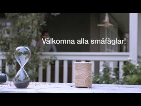 Trädgårdstips - Mata småfåglarna!