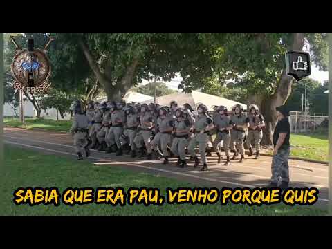 CANÇÃO DE TFM: ONÇA PRETA TA SAINDO PRA CAÇAR - ESCUTA A TERRA TREMER - REBELIÃO