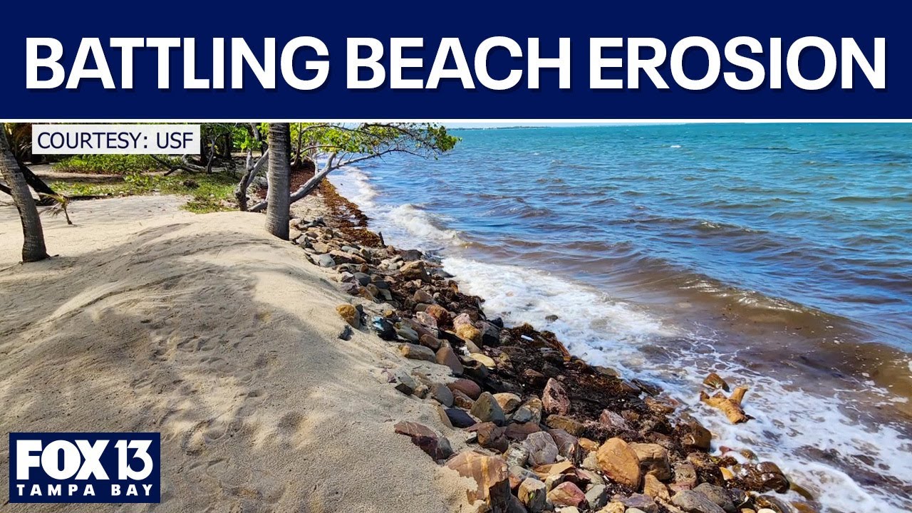 USF researchers on a mission to protect coastal communities from beach erosion