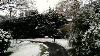 Snowfall in London 2015