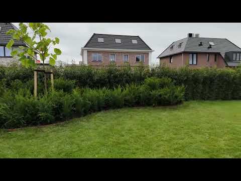 Van bouwgrond naar droomtuin. Tuinaanleg in Almere Vogelhorst met Bofa-Infra.