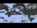 Size Comparison Prehistoric Sea Monsters Animated