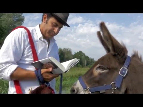 Boektrailer De koning komt van Mohammed Benzakour