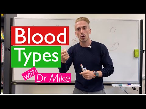 Blood Types (Blood Groups)