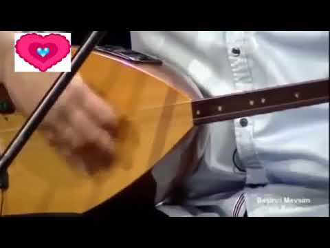 Tolga sağ Dostun Gül Cemali