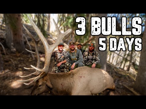 The MOST INTENSE  Rifle Elk Hunt EVER!
