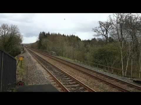 66427 & 66431 working the 4S43 from Daventry to Mossend Euroterminal @ Livingston south