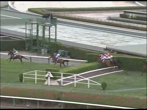 Nakayama Grand Jump 2008 Maruka Rascal