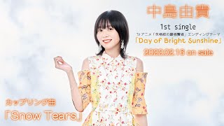 Download lagu 【中島由貴】「Snow Tears」（1st Single「Day of Bright Sunshine」カップリング楽曲）試聴用 mp3