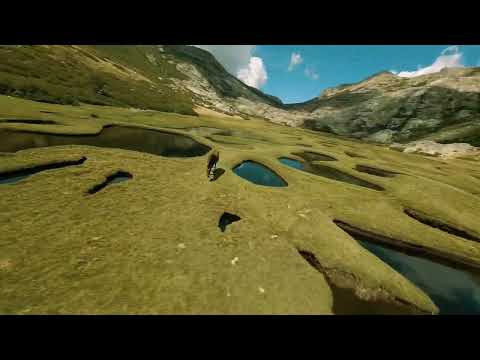 Corsica | 4K drone