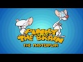 Pinky And The Brain The Master Plan In The Jungle