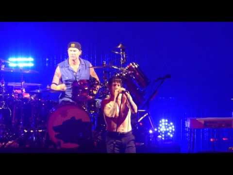 "Dreams of a Samurai" Red Hot Chili Peppers@Madison Square Garden New York 2/17/17