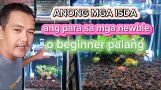 ANONG MGA ISDA ANG PWEDE SA MGA BEGINNERS