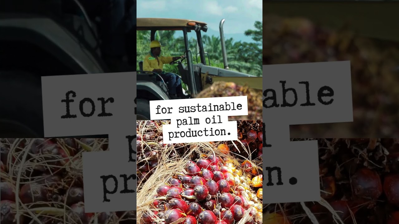 The Benefits of RSPO Certification