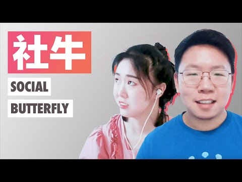 社牛