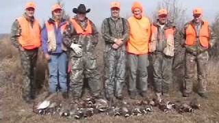 preview picture of video 'Pheasant Hunts, Pheasant Hunting, Wild Birds, Upland Game'
