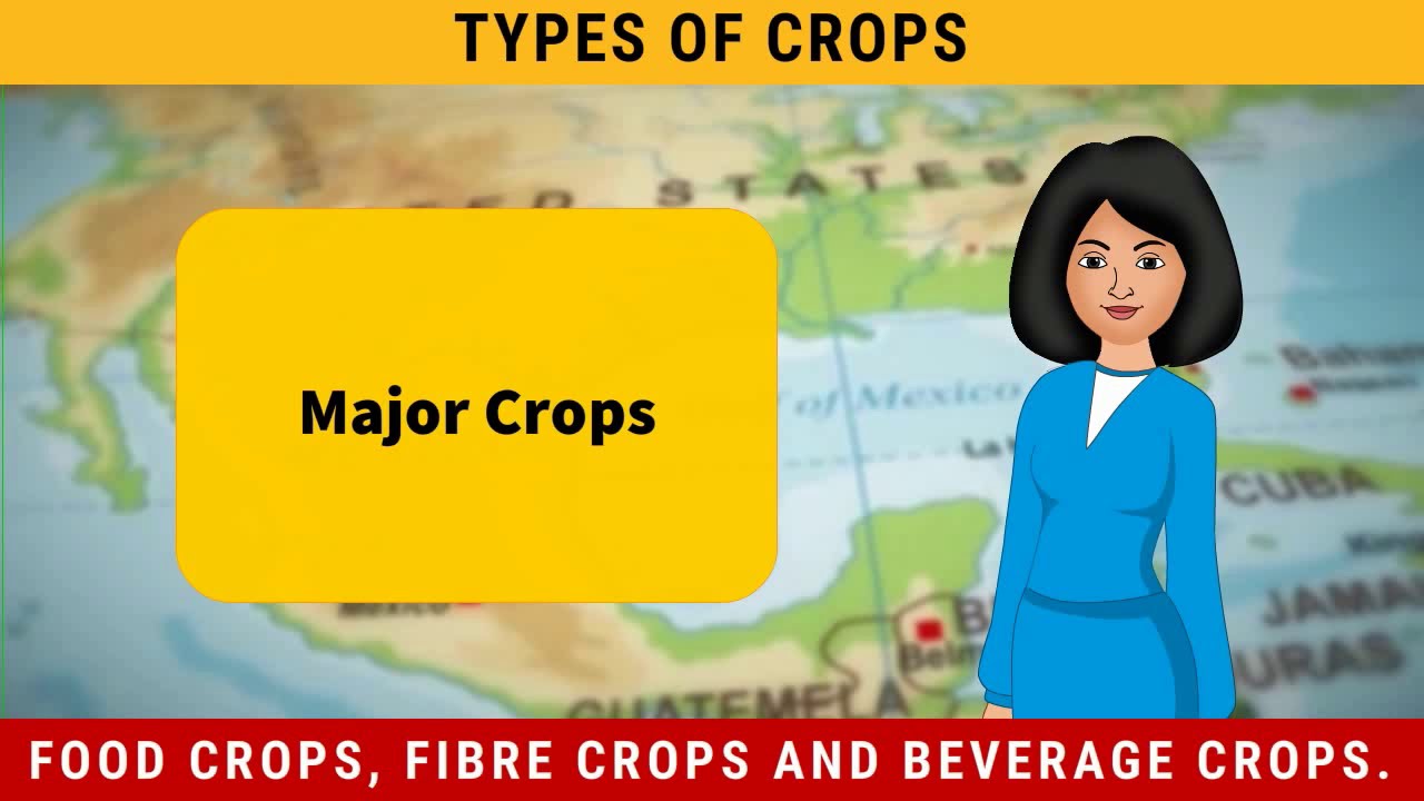 Major Crops | Types of Crops |  Social Science - Geography Class 8