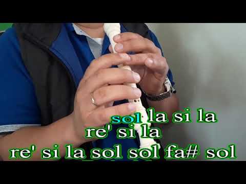 Marshmello - HoMe (FLUTE COVER - FLAUTA CON NOTAS)