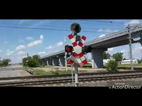 Marfar GFR la bariera din Arad