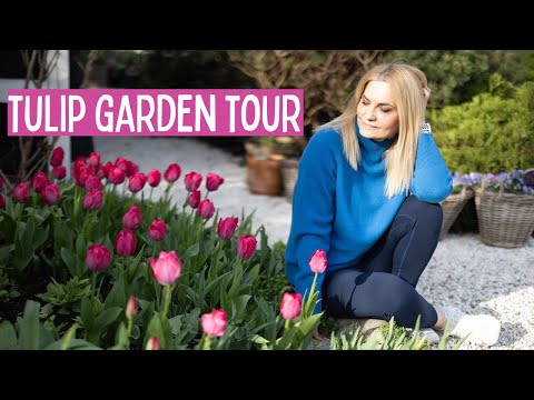 Spring Garden Tour: Tulip Extravaganza | Garden with Marta