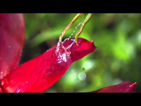 Colocation Luxembourg - Furnished.lu