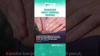 Kaum Laki-laki Wajib Tahu! Ini 5 Ramuan Tradisional Dapat Obati Penyakit Hernia atau Turun Berok