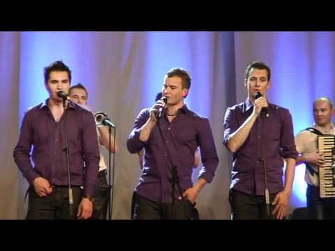 Modrijani & Skupina Gadi & Ansambel Petka - Domovina (v živo)