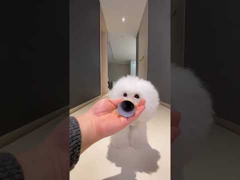 5 de octubre de 2025