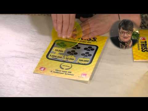 Triss: Gunlög skrapar - Nyhetsmorgon (TV4)