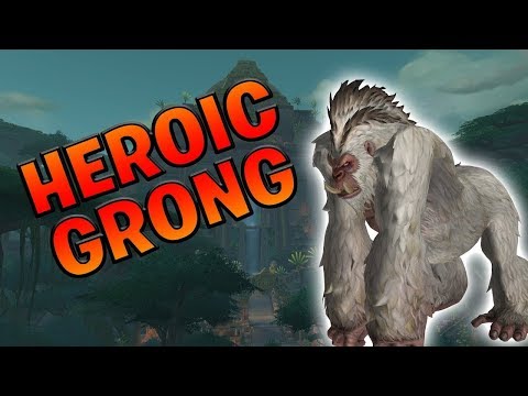 Heroic Grong Kill-Holy Paladin POV- Rat Squad