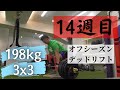 T-NATIONデッドリフトプログラム14週目90%3x3 【シーズンオフのトレーニング】