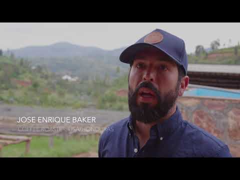 download lagu mp3 mp4 East African Coffee Beans, download lagu East African Coffee Beans gratis, unduh video klip East African Coffee Beans