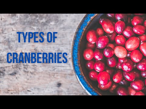 9 Different Types of Cranberries