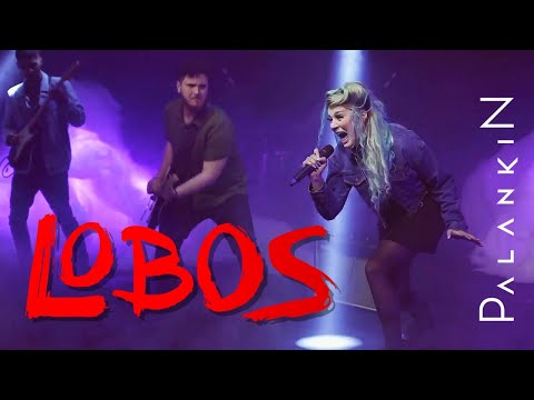Lobos - Palankin