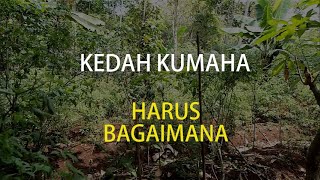 Download lagu COVER - LIRIK - KEDAH KUMAHA - POP SUNDA mp3