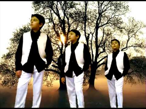 Shamil Mamedov- Elvis Presley ( Love me tender)