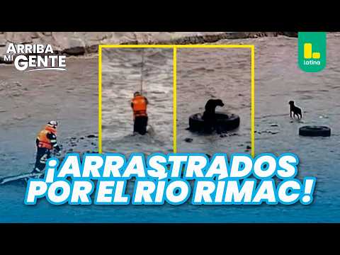 Rescatista y perrito son arrastrados por el caudal del río Rímac 🚨🐕 | Arriba Mi Gente
